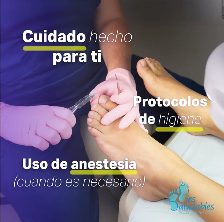 Instrumental podológico preparado para atención profesional